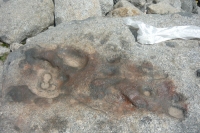 Kailash-tour-2011-07.jpg