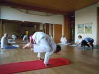Steirehof-2011-14.jpg