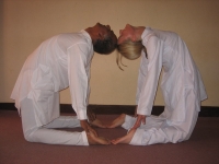 View the album Yoga teacher's
